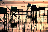 France, Pays de la Loire, Loire Atlantique, fishing grounds along Loire river, sunset