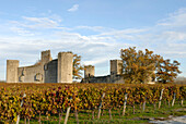 France, Aquitaine, Gironde, Budos castle ruins, vineyards