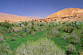 Morocco, Dadès valley, Ait-Arbi kasbah