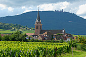France, Alsace, Haut-Rhin, Bergheim