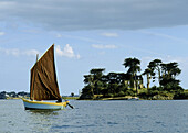 France, Brittany, Morbihan gulf, Grand Vézid island