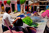 Morocco, Essaouira, medina, dryers