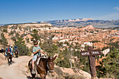 US, Utah, Bryce Canyon, Giant natural amphitheater created by erosion along the eastern side of the Paunsaugunt Plateau