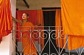 Laos, Luang Prabang, Monk. Luang Prabang