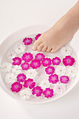 Woman, foot in water and flowers petals