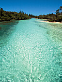 New Caledonia, Pines island, Oro bay, view from the Meridien pontoon
