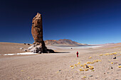 Chile, Altiplano, Tara rock, border road between San Pedro and Atacama