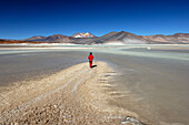 Chile, San Pedro de Atacama, Laguna de Aguas Calientes, person on salt, rear view