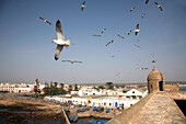 Africa, Maghreb, North africa,Morocco, Essaouira, the skala of the harbour