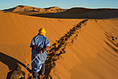 Man leading Camel Along Sand Dunes, Sahara Desert, Morocco