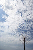 Whimsical Sculpture Against Dramatic Sky