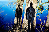 Two Human Shadows on Tree Trunks