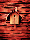 Birdhouse Against Red Wall