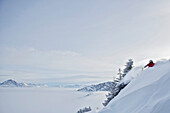 Skifahrer fährt im Tiefschnee, Hahnenkamm, Kitzbühel, Tirol, Österreich