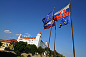 Flags in front of the castle in the sunlight, Bratislava, Slovakia, Europe