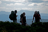 Drei Trekker auf dem Weg zu Herods Gates, Walls of Jerusalem National Park, Tasmanien, Australien, UNESCO Weltnaturerbe, Tasmanien, Australien