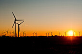 Windräder im Windpark bei Sonnenuntergang, Schleswig Holstein, Deutschland, Europa