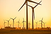 Windräder im Windpark bei Sonnenuntergang, Schleswig Holstein, Deutschland, Europa