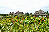 Thatched house in Nieblum, Island of Foehr, Schleswig Holstein, Germany, Europe