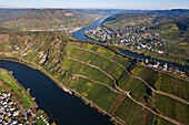 Aerial view of the Moselle river at Bullay and Puenderich, Eifel, Rhineland Palatinate, Gemany, Europe