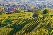 Blick über Weinberge auf Burkheim, Kaiserstuhl, Baden-Württemberg, Deutschland, Europa