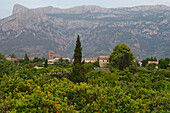 Soller, town, Serra de Tramuntana, Tramuntana mountains, Mallorca, Balearic Islands, Spain, Europe
