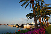 Boote im Jachthafen von Portals Nous, Mallorca, Balearen, Spanien, Europa