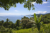 Costa Verde, the green coast between Angra dos Reis and Paraty, State of Rio de Janeiro, Brazil, South America, America
