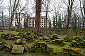 Jüdischer Friedhof Battonnstraße, Ältester jüdischer Friedhof in Frankfurt und zweitältester jüdischer Friedhof in Deutschland, Frankfurt am Main, Hessen, Deutschland, Europa