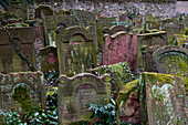 Jewish cemetery Battonnstraße, it is the oldest jewish cemetery in Frankfurt, Frankfurt am Main, Hesse, Germany, Europe