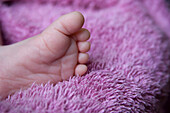 Baby's bare foot, close-up