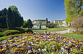 Flower bed at spa gardens in spring, Baden, Lower Austria, Austria, Europe