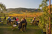 People at a Heuriger restaurant in autumn, Baden, Lower Austria, Austria, Europe