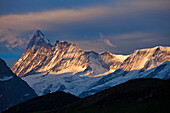 Der verschneite Gipfel Finsteraarhorn im Sonnenlicht, Berner Oberland, Kanton Bern, Schweiz, Europa