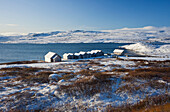 Hardangervidda National Park in Winter, snow covered landscape, Hordaland, Norway