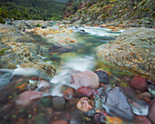 River with colourful, smooth stones, Fango valley, La Vallee de Fango, Corsica, France