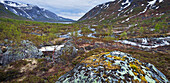 Mountain landscape with sparse vegetation at Kaperdalen, Erstfjord, Senja island, Troms, Norway