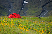 Rotes Zelt in der Mitte einer Wiese, Bieltal, Tirol, Österreich