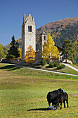 Ruine der Kirche San Gian im Sonnenlicht, Engadin, Graubünden, Schweiz, Europa