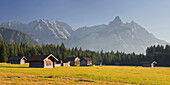Blockhütten auf einer Wiese, Ehrwald, Außerfern, Mieminger Gebirge, Tirol, Österreich, Europa