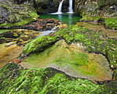 Moosbewachsene Steine und Wasserfall im Naturschutzgebiet Schwarzbach, Bayern, Deutschland, Europa