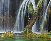 Trunk and waterfall at Plivice Lakes National Park, Croatia, Europe