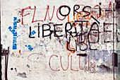 Graffiti, Rue Pres Pierucci, Corte, Corsica, France