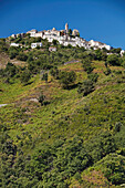 Loreto di Casinca, city view, Casinca, Corsica, France