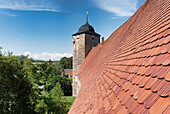 Roof tiles, moated castle Kapellendorf, Weimar, Thuringia, Germany