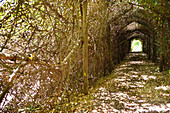 Narrow path passing through a tunnel