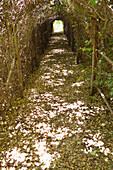 Narrow path passing through a tunnel