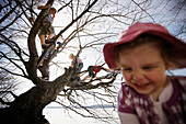 Kinder toben am Seeufer und klettern in einem Baum, Schlosspark Leoni, Leoni, Starnberger See, Bayern Deutschland