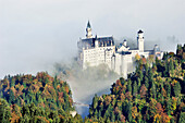 Schloss Neuschwanstein über Nebel, Oberallgäu, Bayern, Deutschland