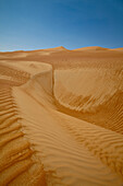 Patterns on dunes, Wahiba Sands desert, Bidiya, Ash Sharqiyah, Oman, Arabian Peninsula